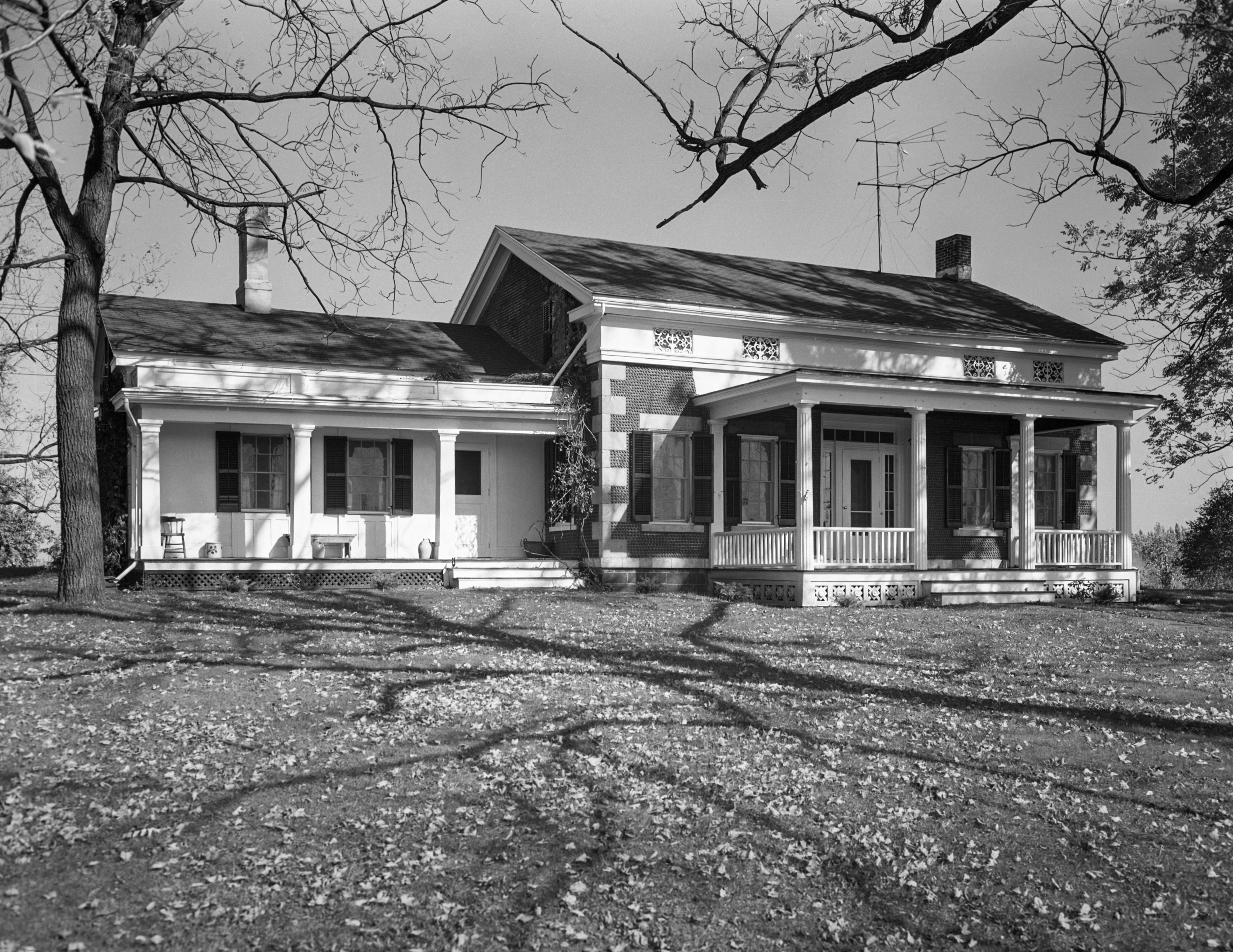 GP Wayne Williamson Wil-19 1-1 N.jpg